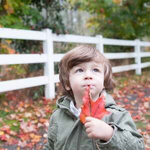 Meet your Posher, Alla